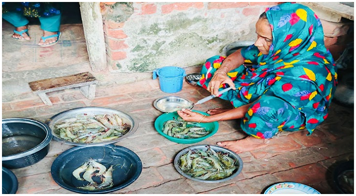 খুলনায় জেলি পুশ করা ৬০ কেজি চিংড়ি জব্দ, আটক ১